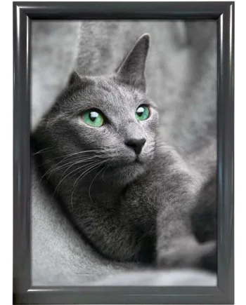 Alu Snap Frame 25mm     A1 Antracit