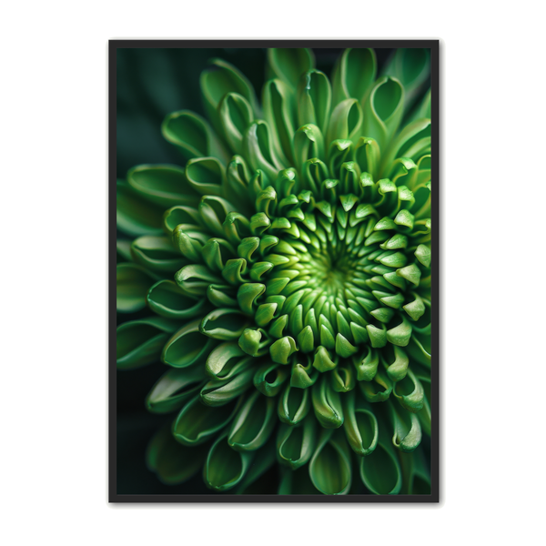 Blomster Plakat 141