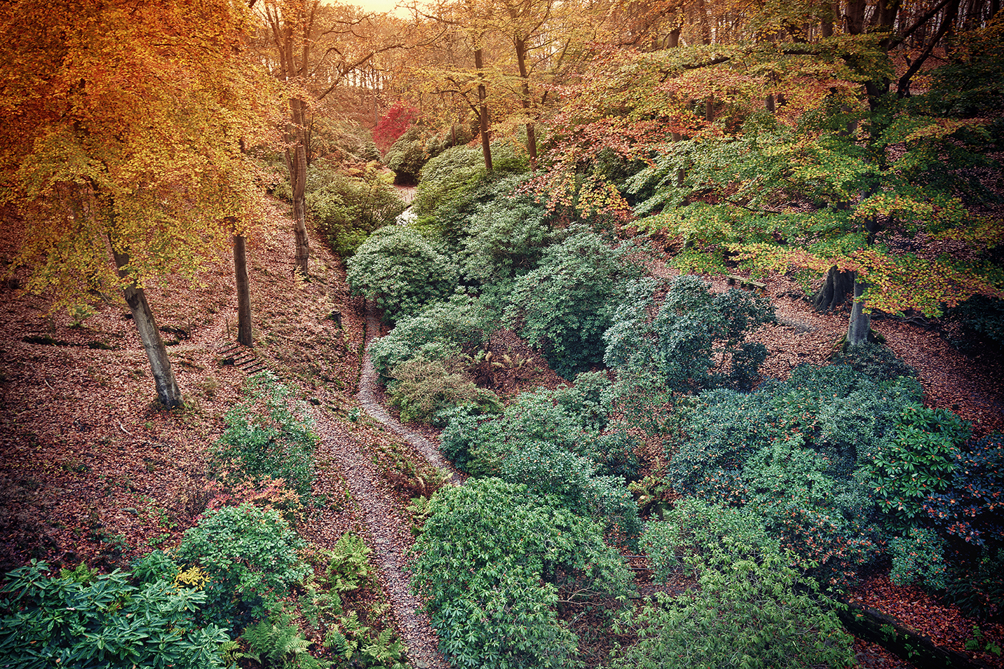Autumn Af Gustavo Orensztajn