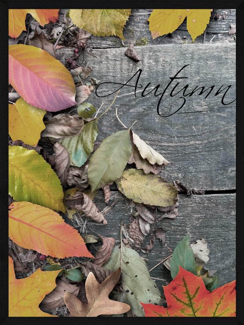 Autumn Efterårs Plakat