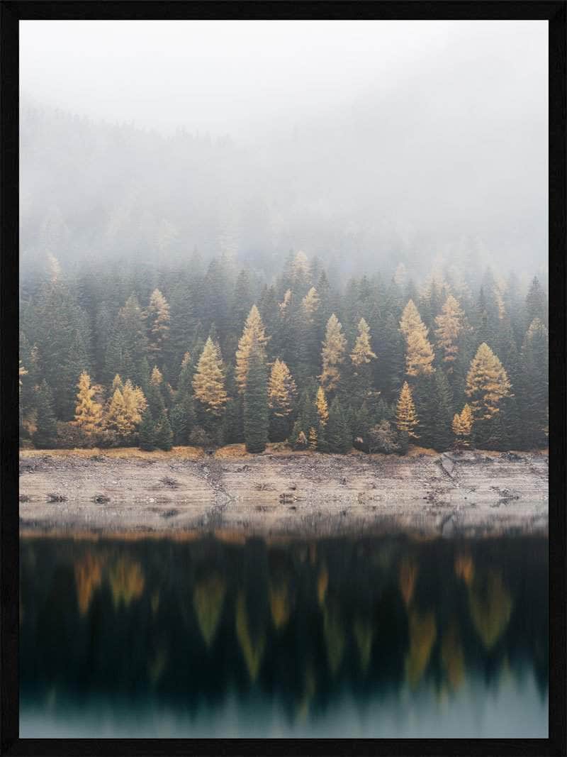 Forårsskov   Tåge Plakat