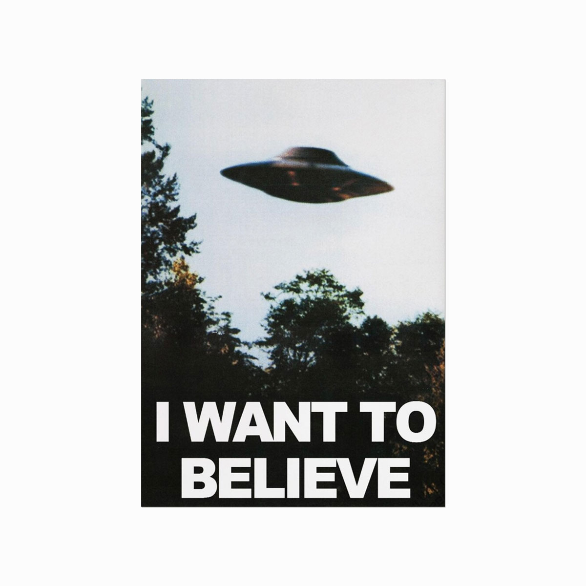 Want To Believe
