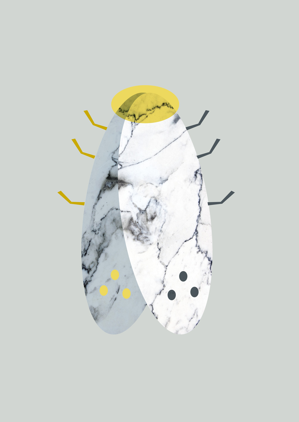 Marbel Moth Af Myro Graphics
