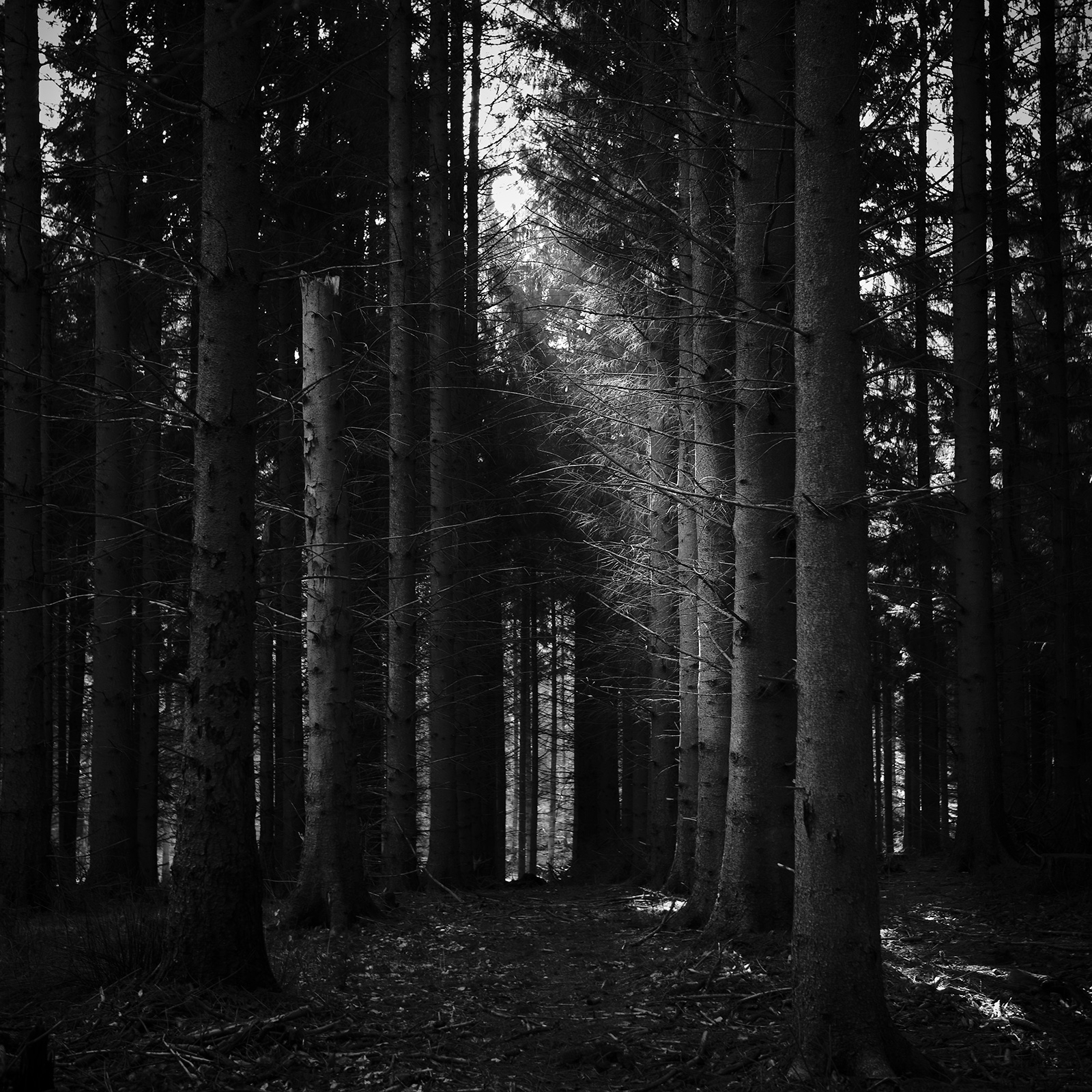 Path Af Jakob Evers