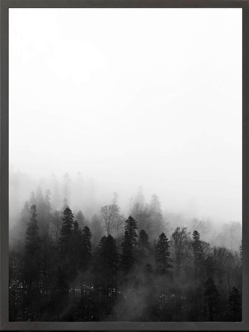 Sort Skov Plakat
