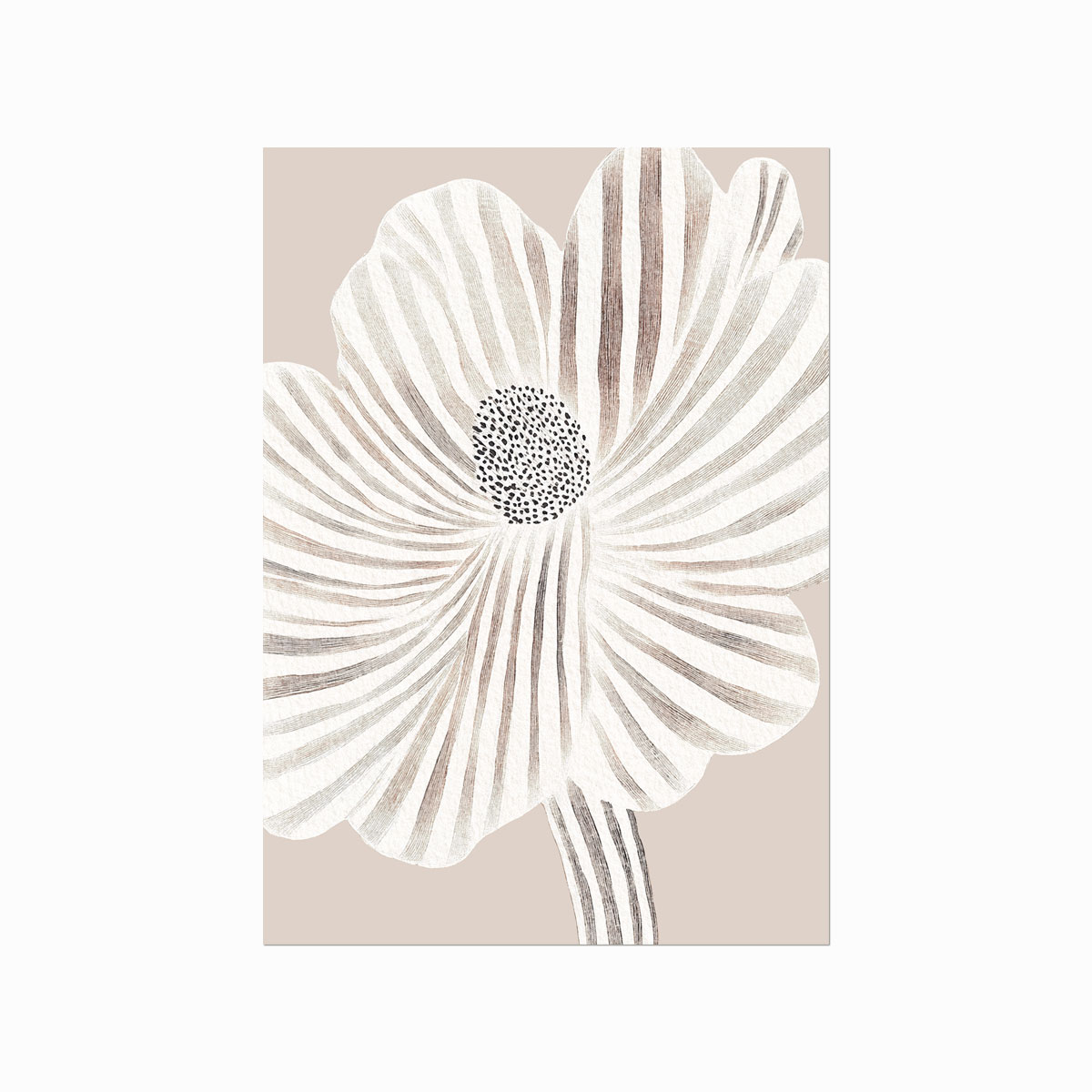Striped Flower