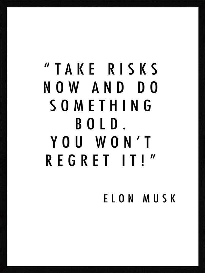 Take Risks Now Elon Musk Plakat