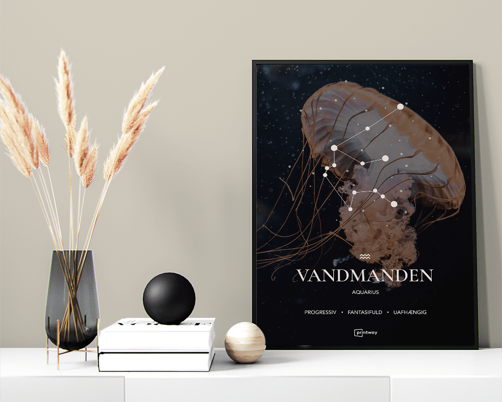 Vandmanden Stjernetegn Plakat