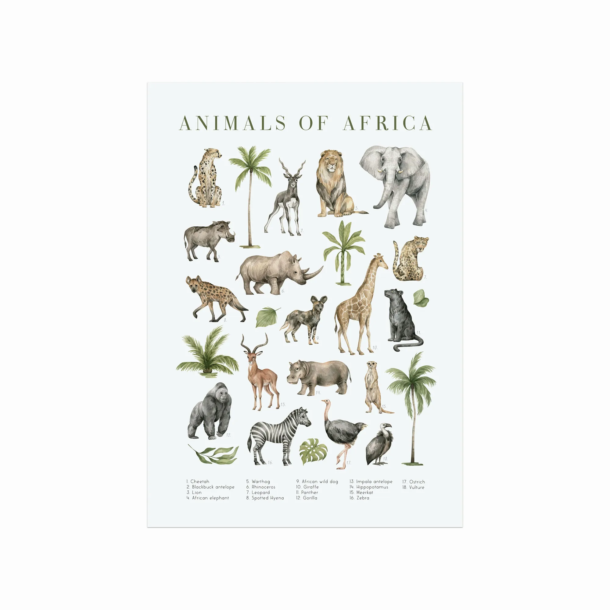 Animals Of Africa
