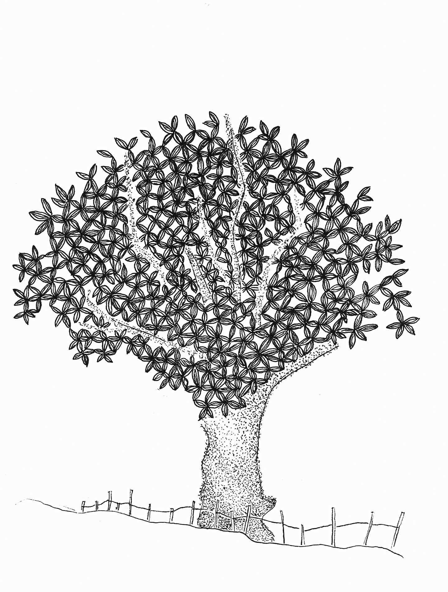 Bladettræ Af Cilia Sindt