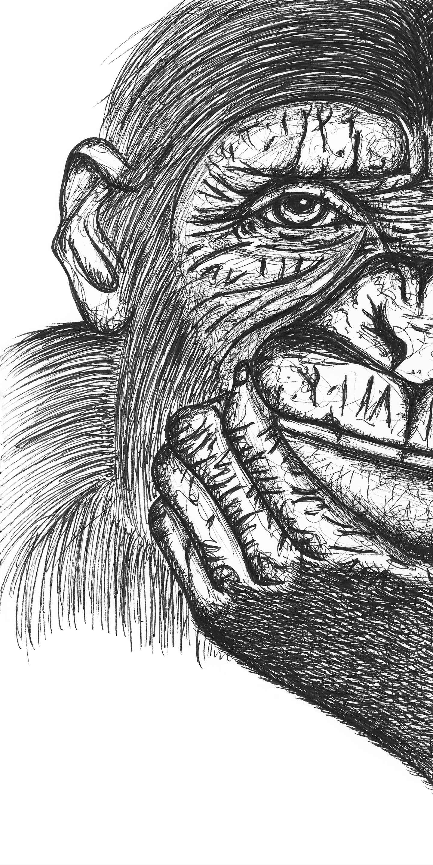 Chimpansen Hector Af Tina Seirup Nielsen