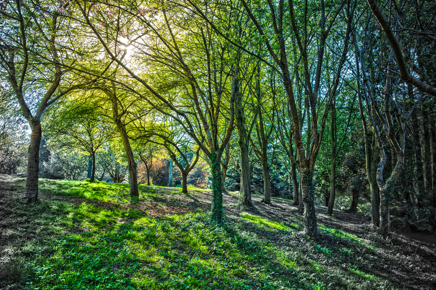 Colours Of Fishponds Af Andreas Mørck