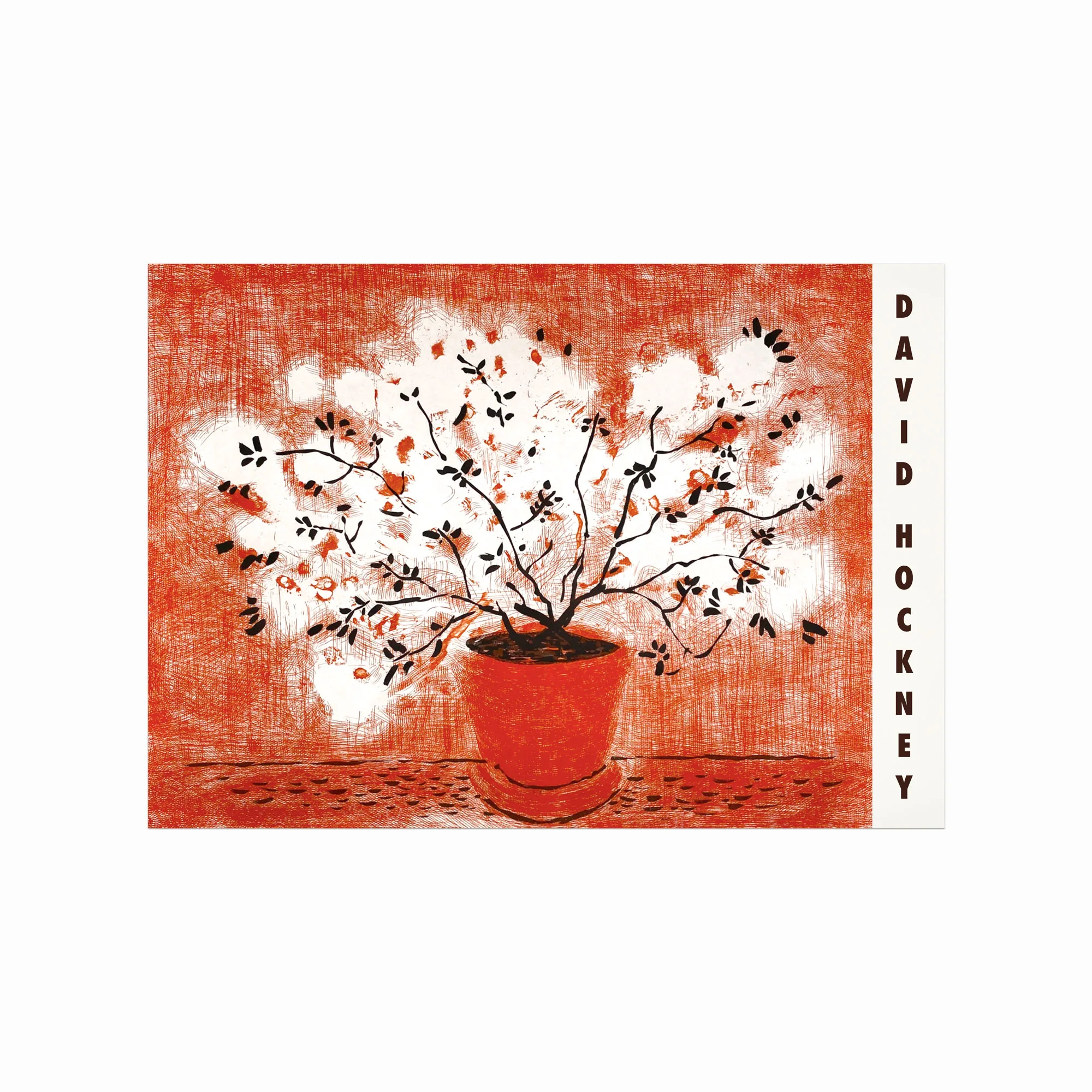 David Hockney Plakat  Red Etching