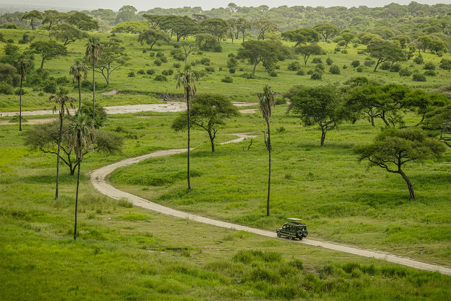 Driving Into The Wild Af Rasmus Gundorff Sæderup
