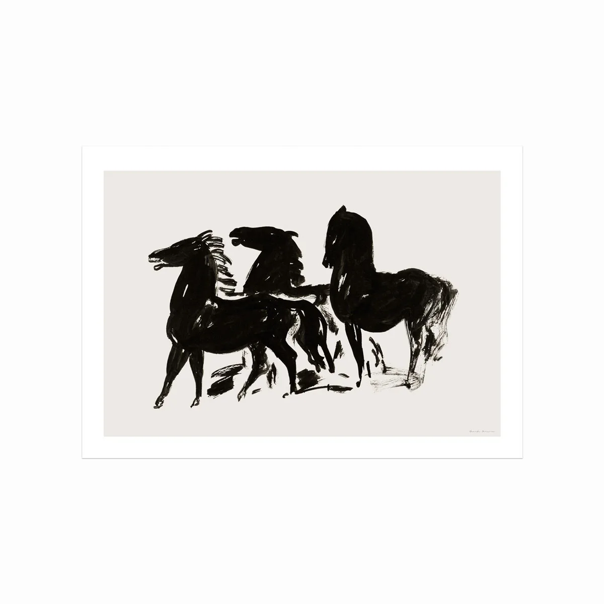 Duarte Pereira  Portuguese Horses