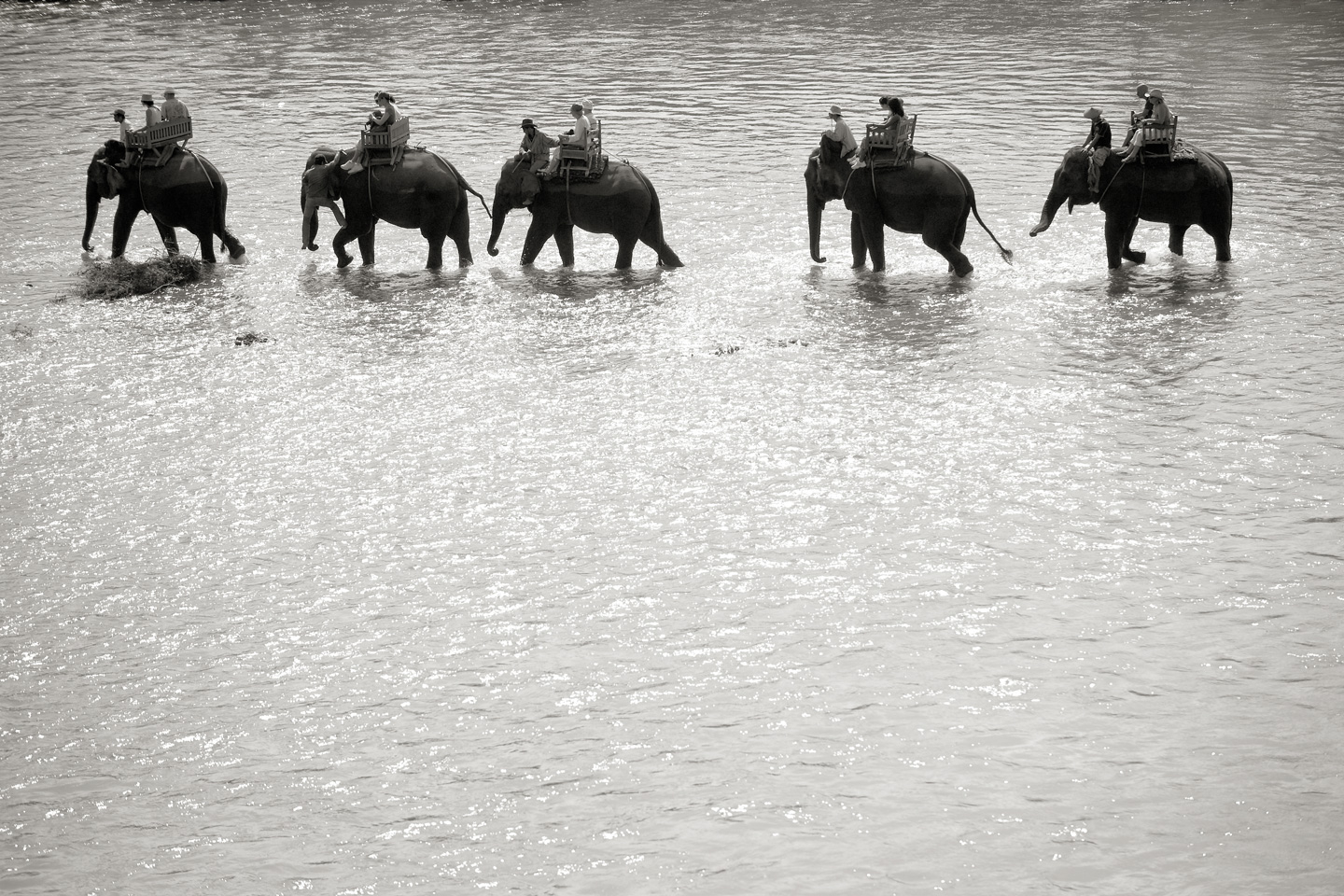 Elephant Ride Af Julie Aucoin