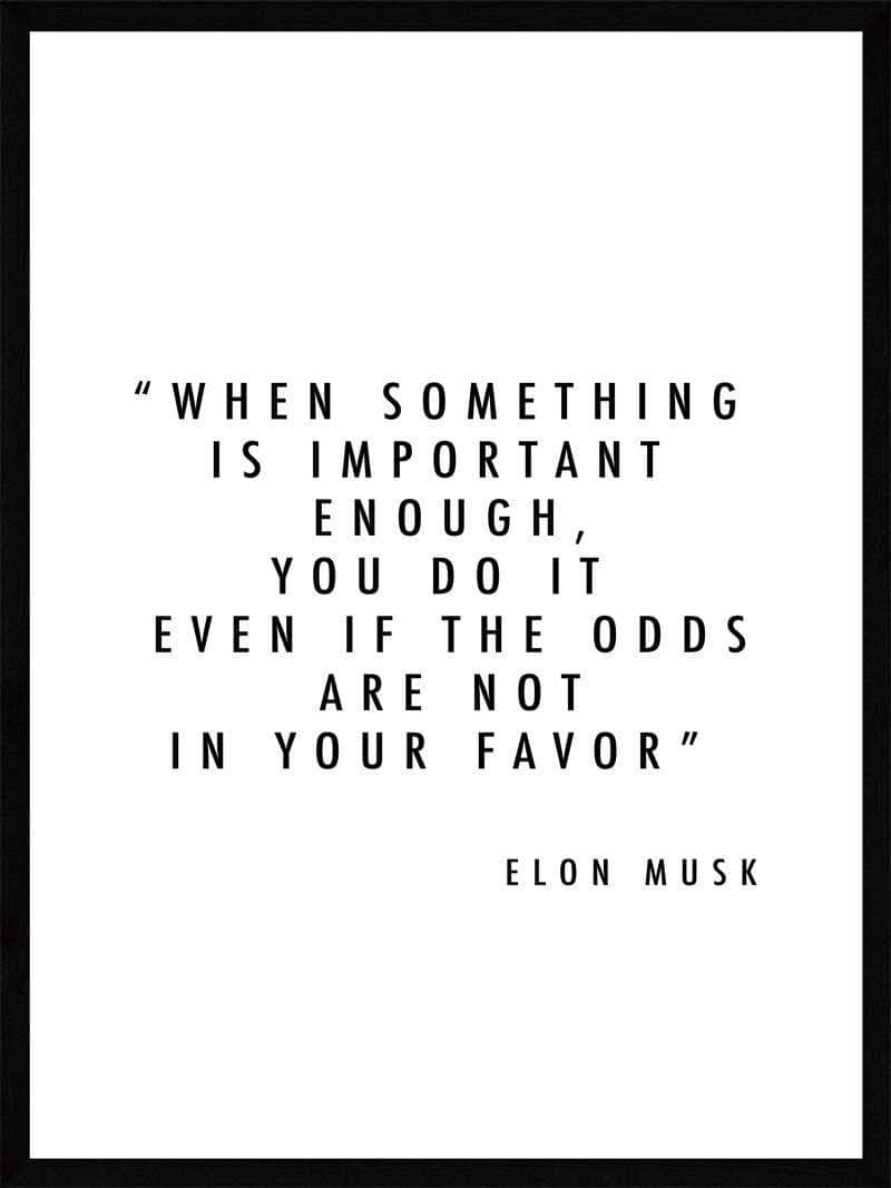 Important Enough Elon Musk Plakat