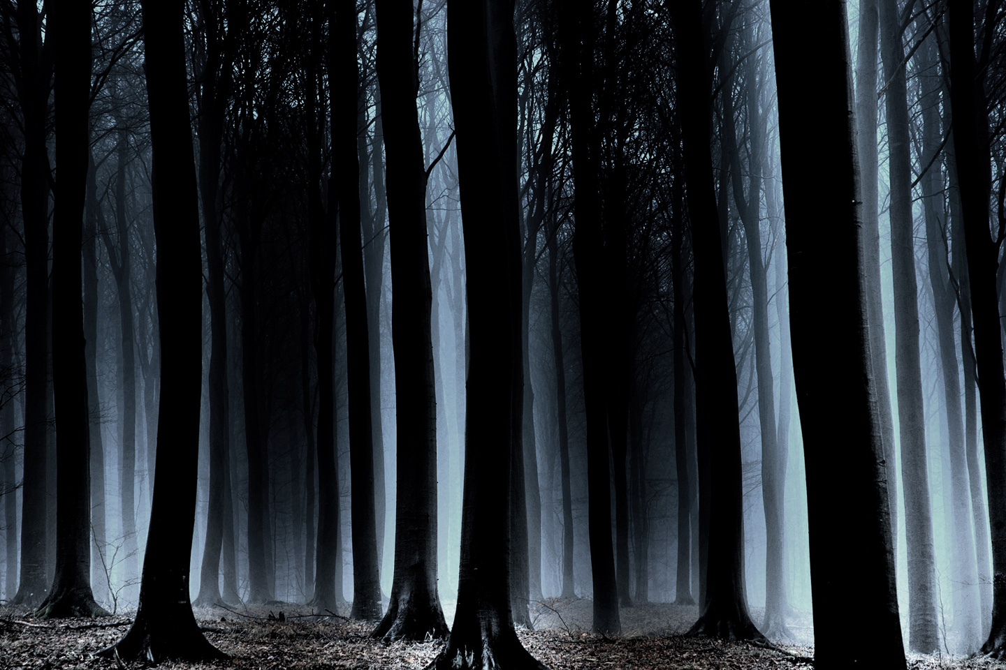 Is There Anybody Out There Af Frederik Laugesen