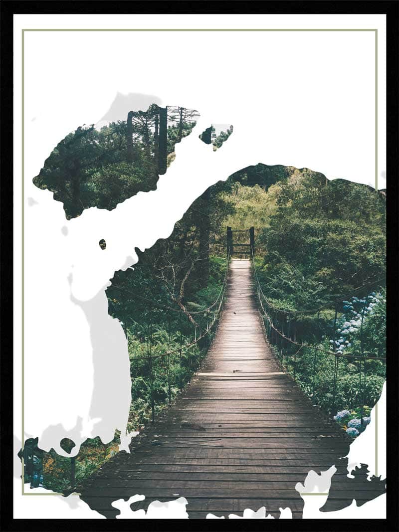 Junglebro Natur Plakat