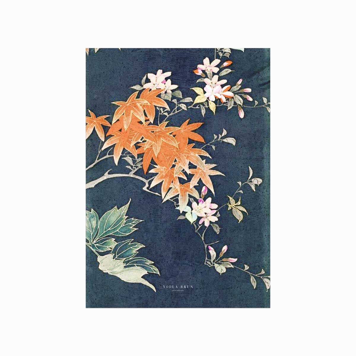 Kimono