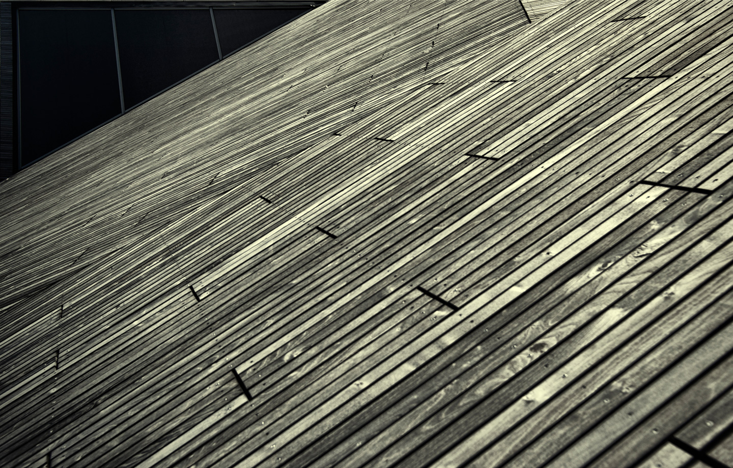 Lines Af Gustavo Orensztajn