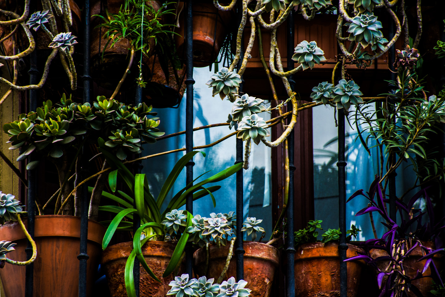 Madrid Balcony Af Kirsten Stigsgaard