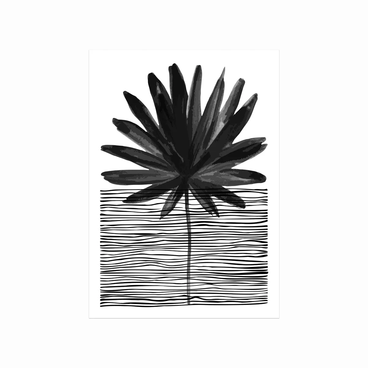 Palm No  01