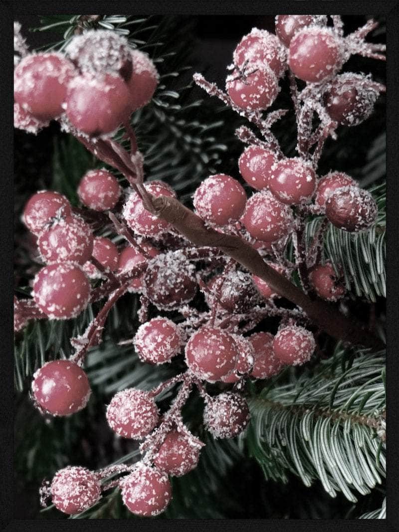 Røde Bær Juleplakat