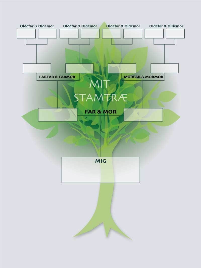 Stamtræ Plakat