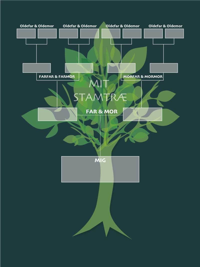 Stamtræ Plakat