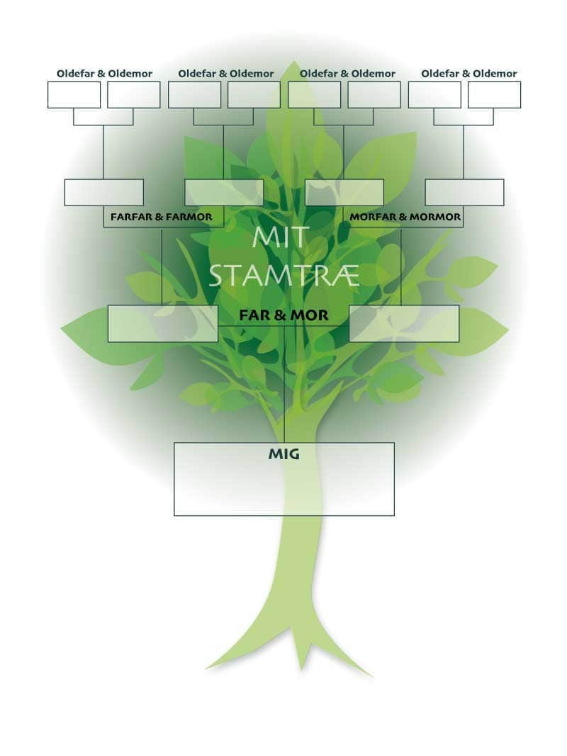 Stamtræ Plakat