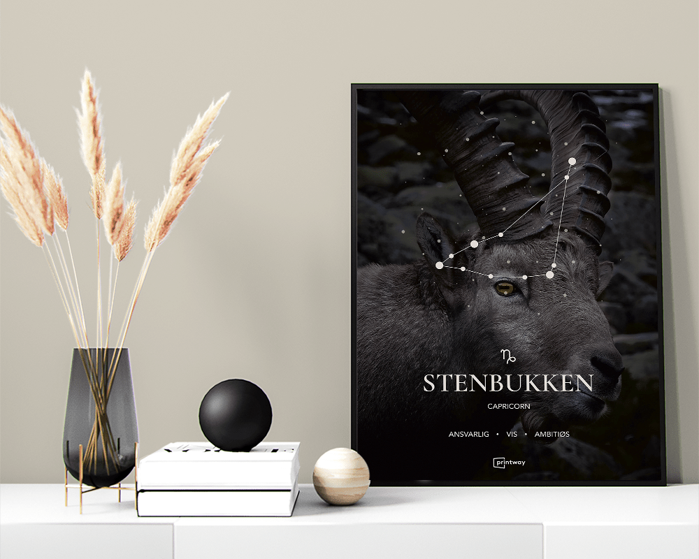 Stenbukken Stjernetegn Plakat