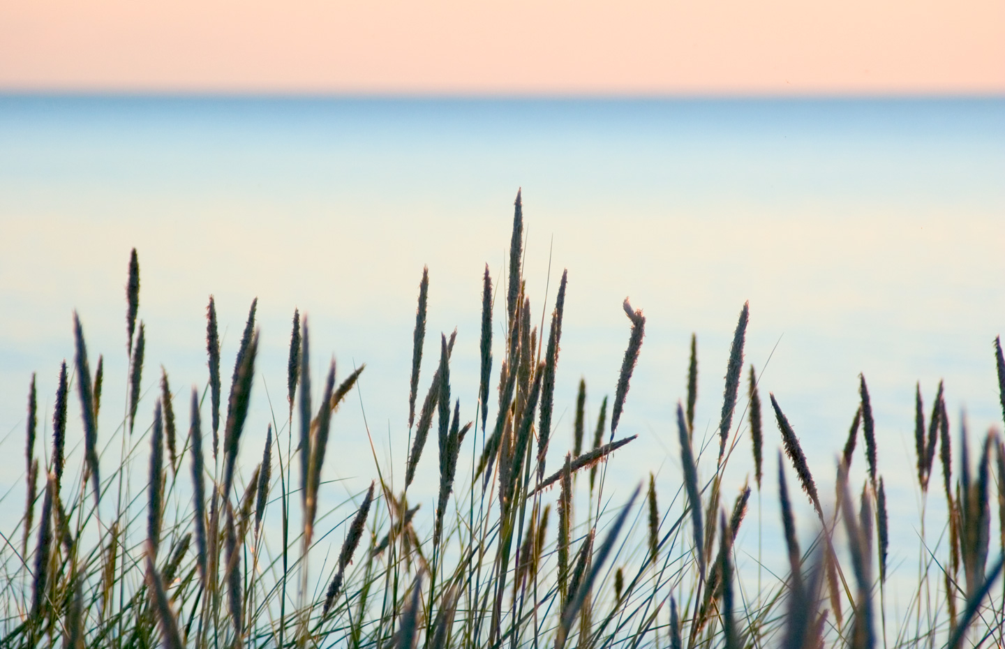 Summer Beach Af Kirsten Stigsgaard