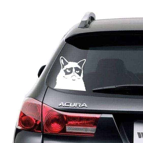 Sur Kat Wallsticker
