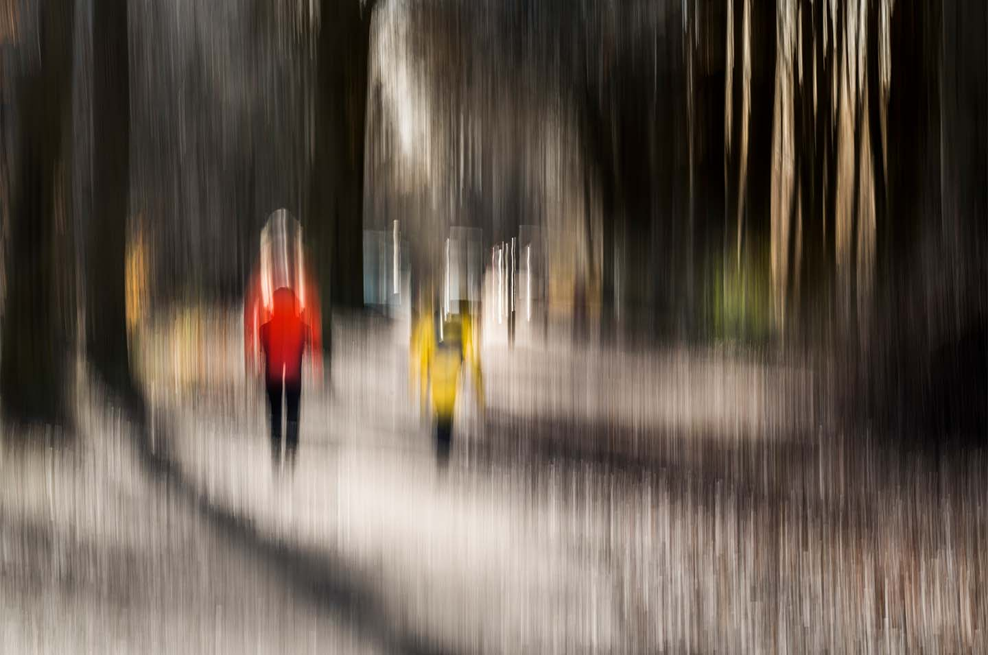 Walk In The Forest Af Klint Fotografi