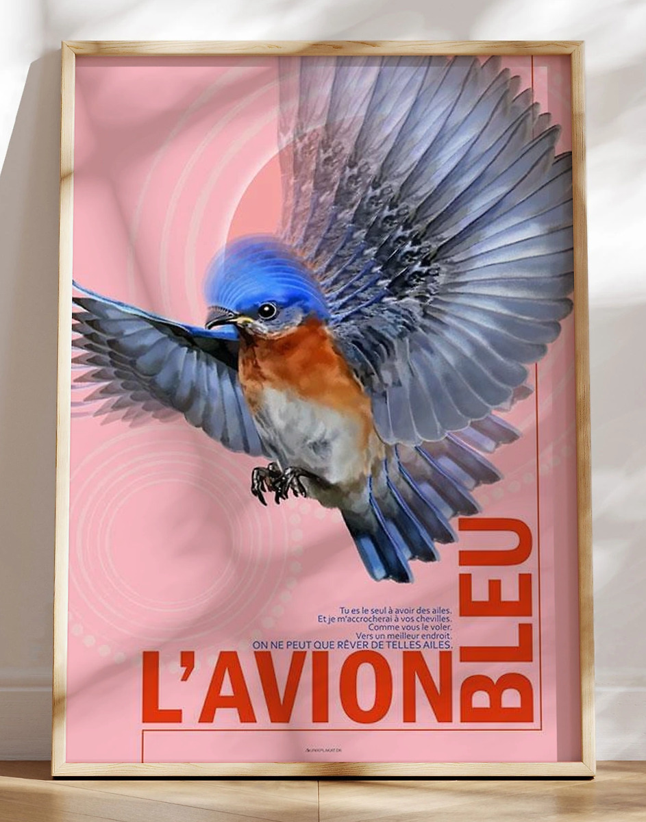 Avion Bleu Den Blå Flyver