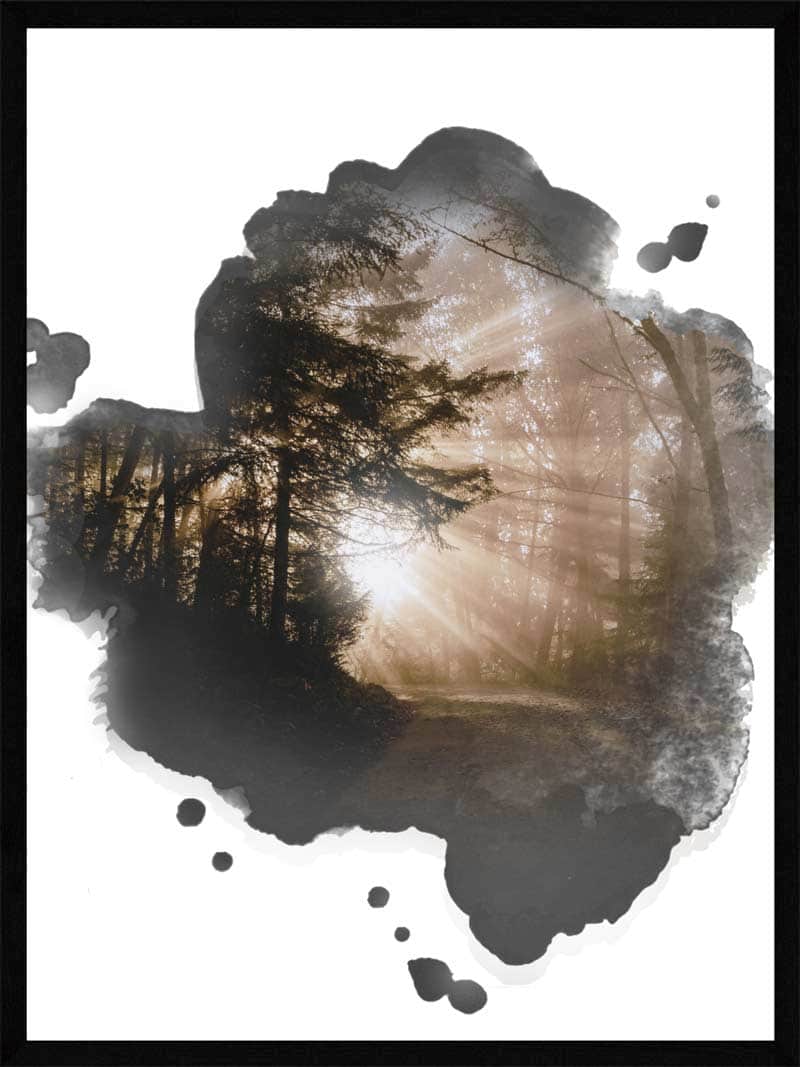 Lysindfald Skov Natur Plakat
