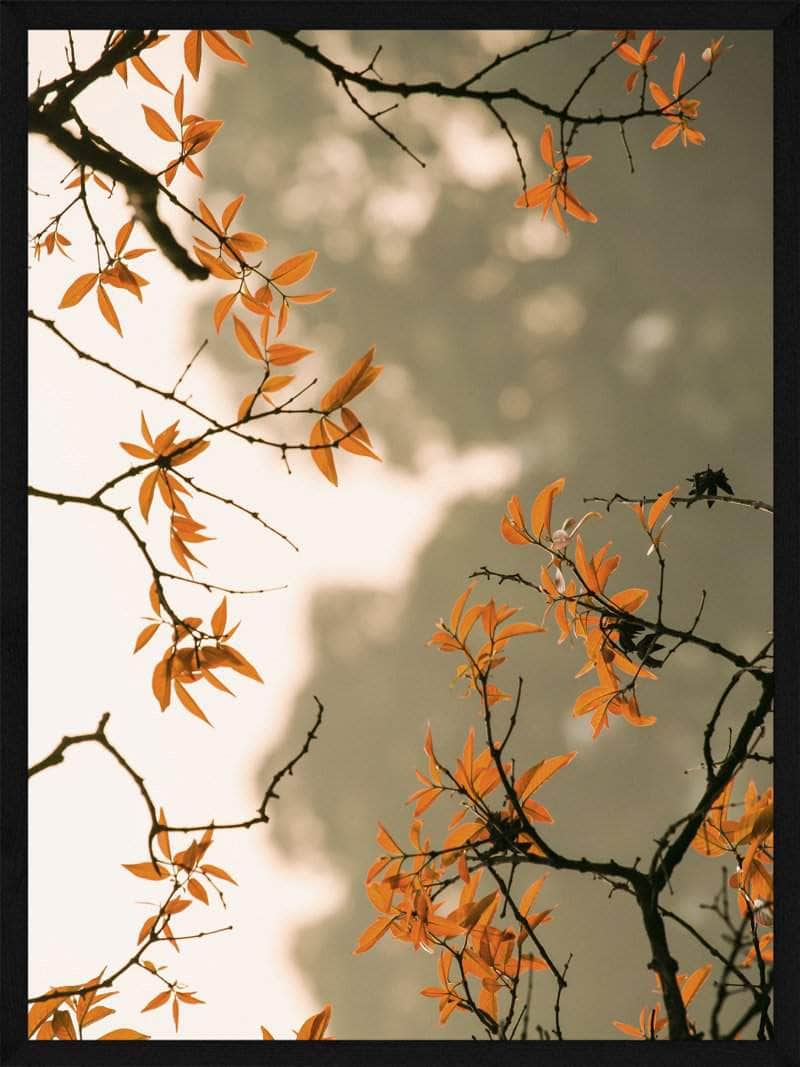 Orange Blade Plakat