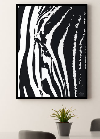 Plakat Med Zebra 21   29    A4  Kr  199 -