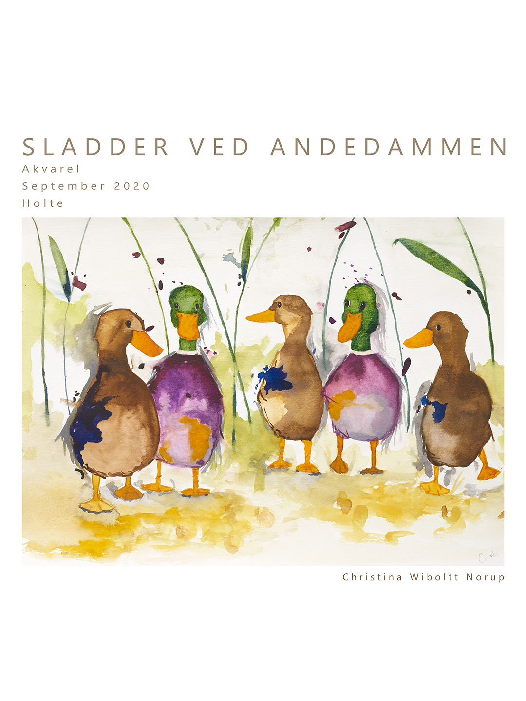 Sladder Ved Andedammen No    Af Leo Mio